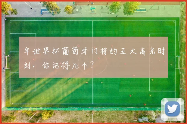 年世界杯葡萄牙门将的五大高光时刻，你记得几个？