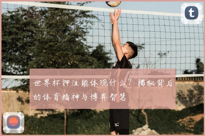 世界杯押注能体现什么?揭秘背后的体育精神与博弈智慧