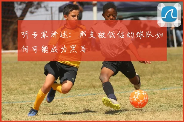 听专家讲述:那支被低估的球队如何可能成为黑马