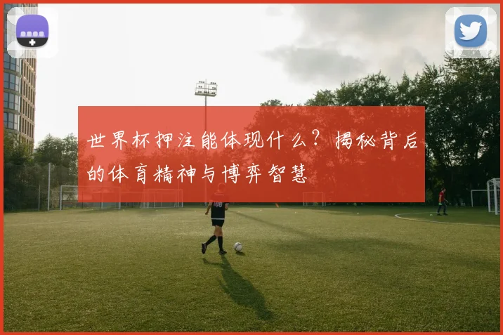 世界杯押注能体现什么?揭秘背后的体育精神与博弈智慧