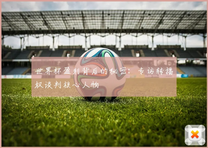 世界杯盈利背后的秘密:专访转播权谈判核心人物