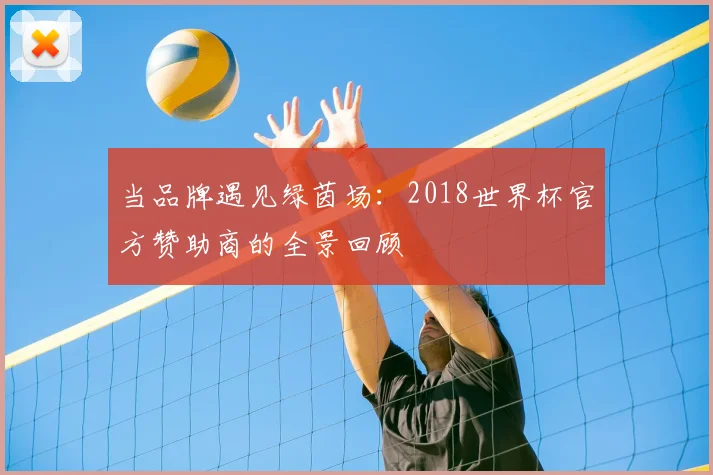 当品牌遇见绿茵场:2018世界杯官方赞助商的全景回顾