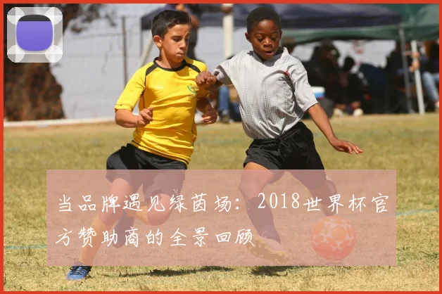 当品牌遇见绿茵场：2018世界杯官方赞助商的全景回顾