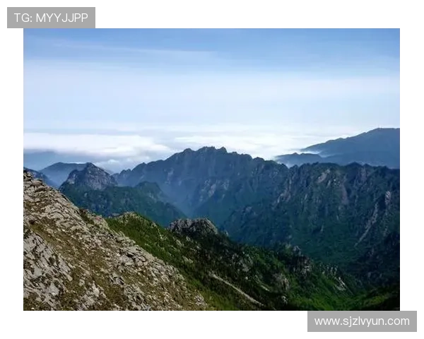山行姚明:在巍峨群山中探寻篮球巨人的心灵旅程与人生哲学 山行姚明:在巍峨群山中探寻篮球巨人的心灵旅程与人生哲学